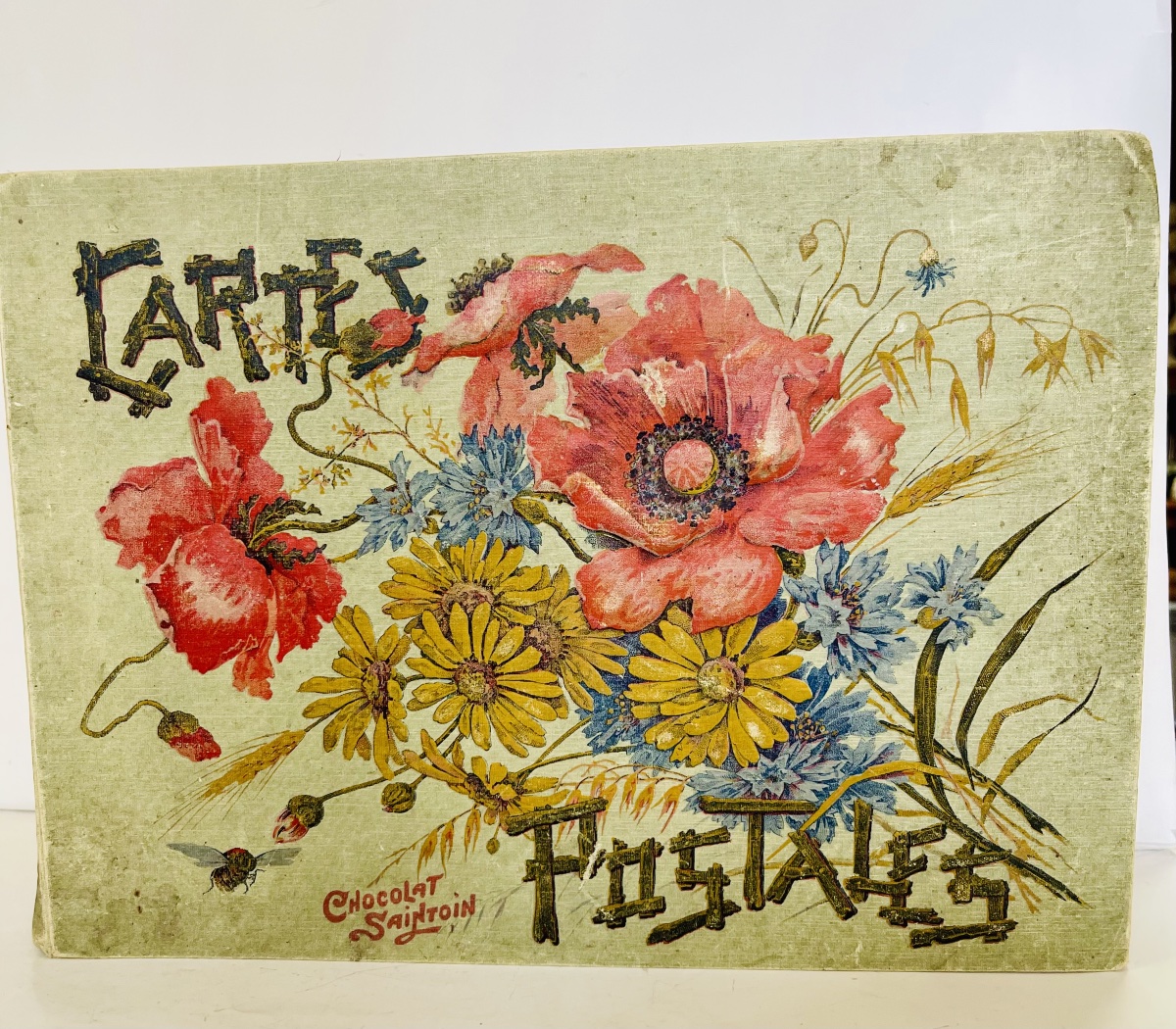 Album photo d’époque art nouveau 